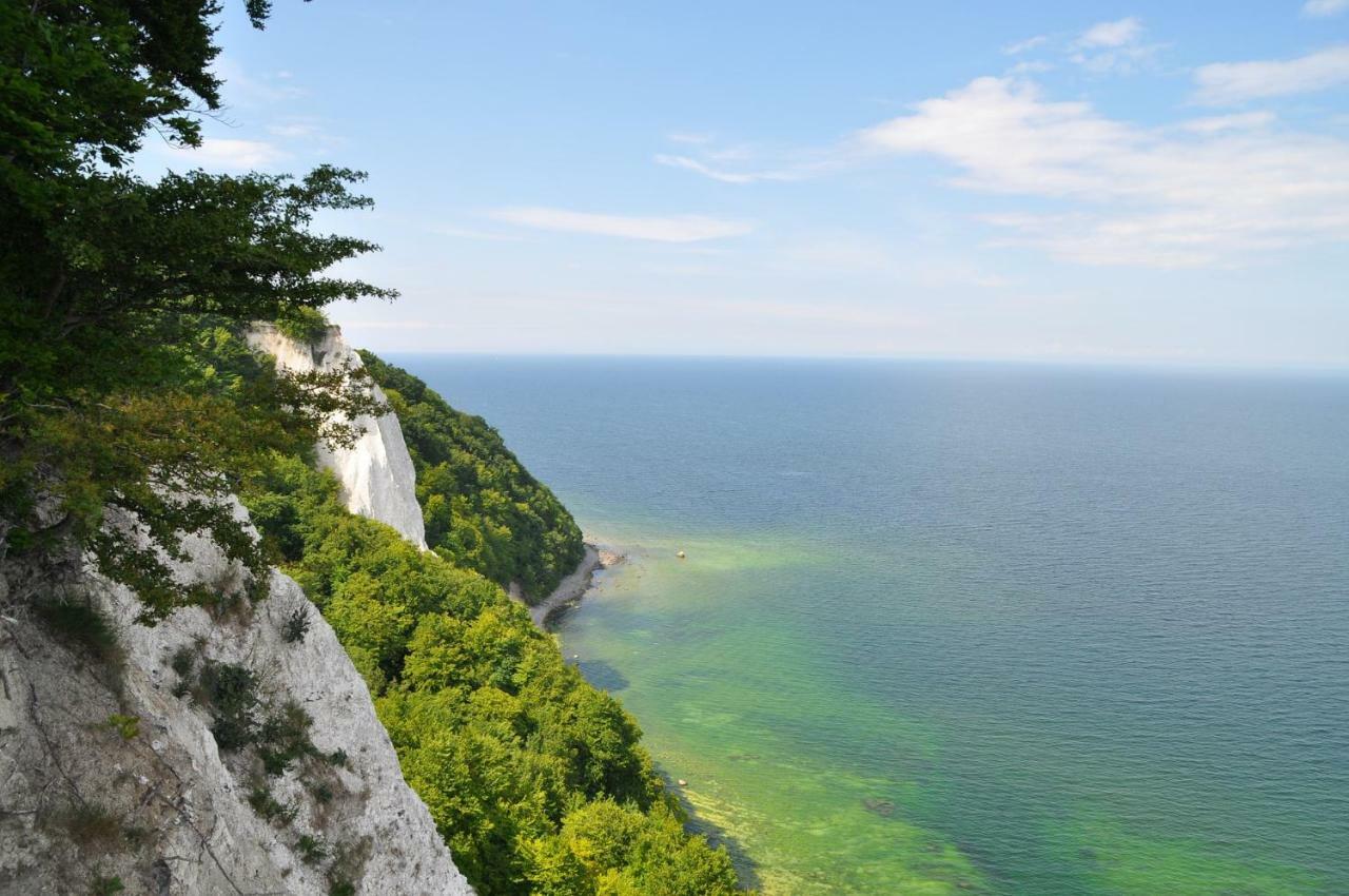 Bienenhaus Βίλα Sassnitz Εξωτερικό φωτογραφία